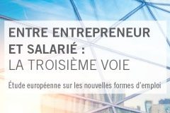 etude sur les nouvelles formes d'emploi en europe, entre entrepreneur et salarié