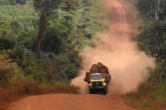 Afrique au cœur. Vincent Pelé