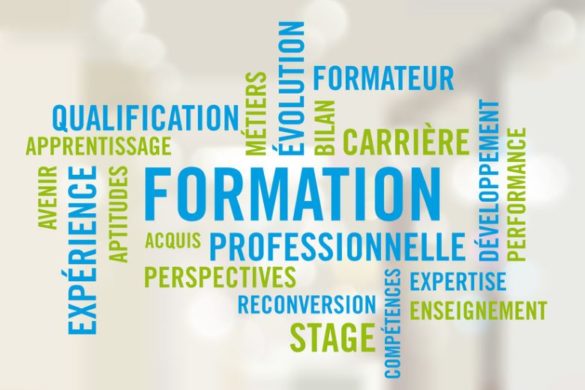 Formateur animation formation